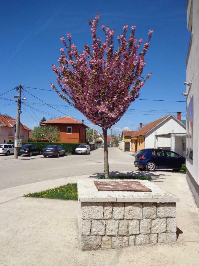 Apartman Bedem Nikšić Buitenkant foto